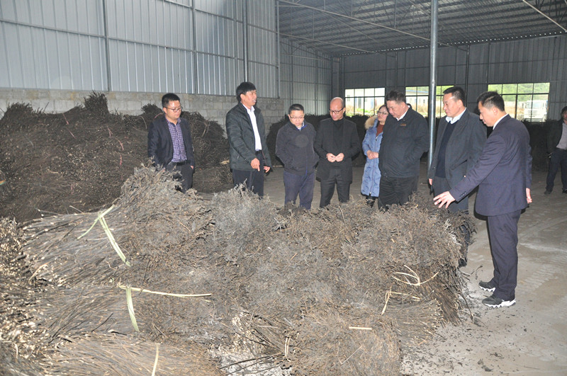 1544689244465548.jpg 3.jpg