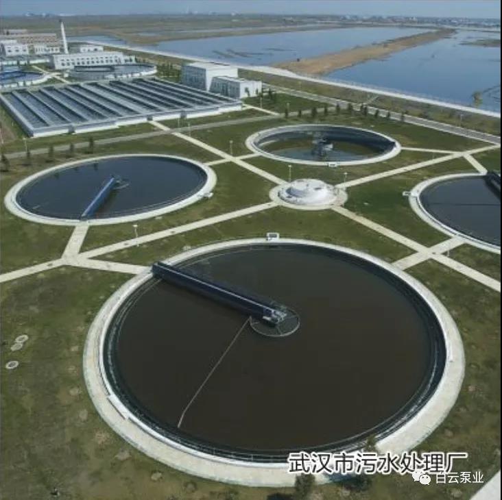 1544771097664012.jpg 3.jpg