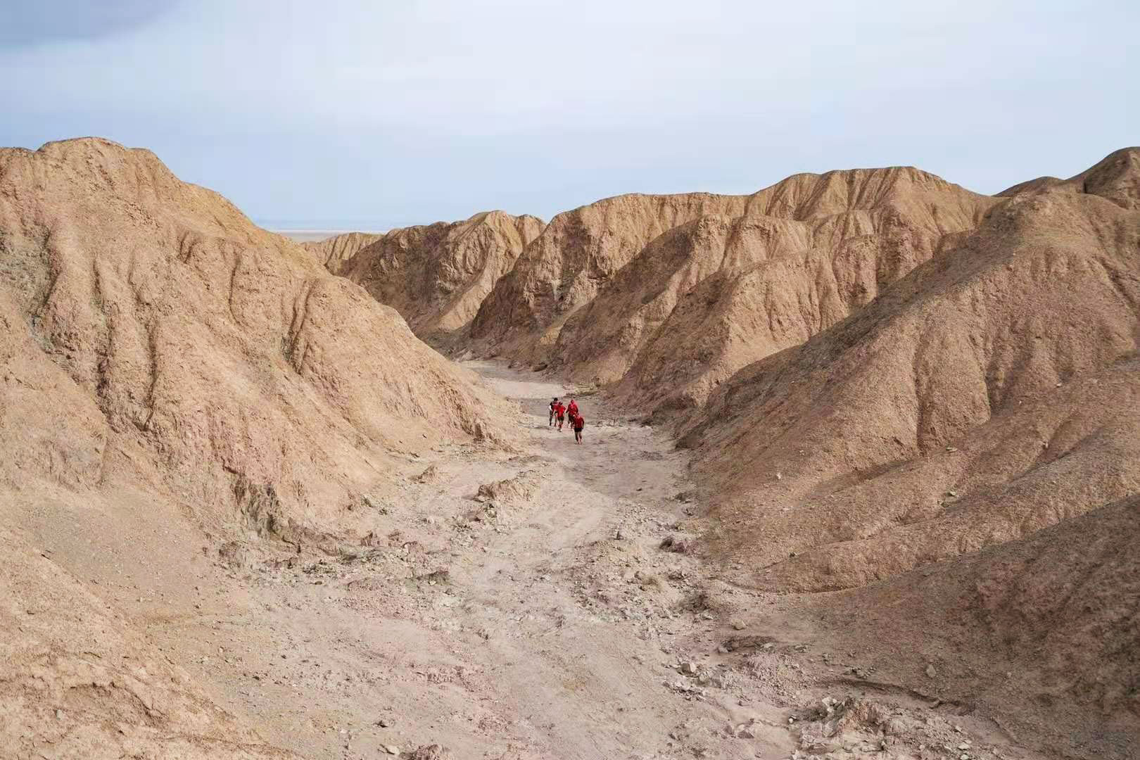 1606699882971381.jpg 1606699882971381.jpg